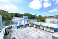 Modernes Atelier, Loft, Dachterrasse im Neunzehnten // Modern Studio, loft, roof terrace in the nineteenth //