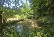 Bauernhaus (stark sanierungsbedürftig) mit viel Grund und kleinem Teich