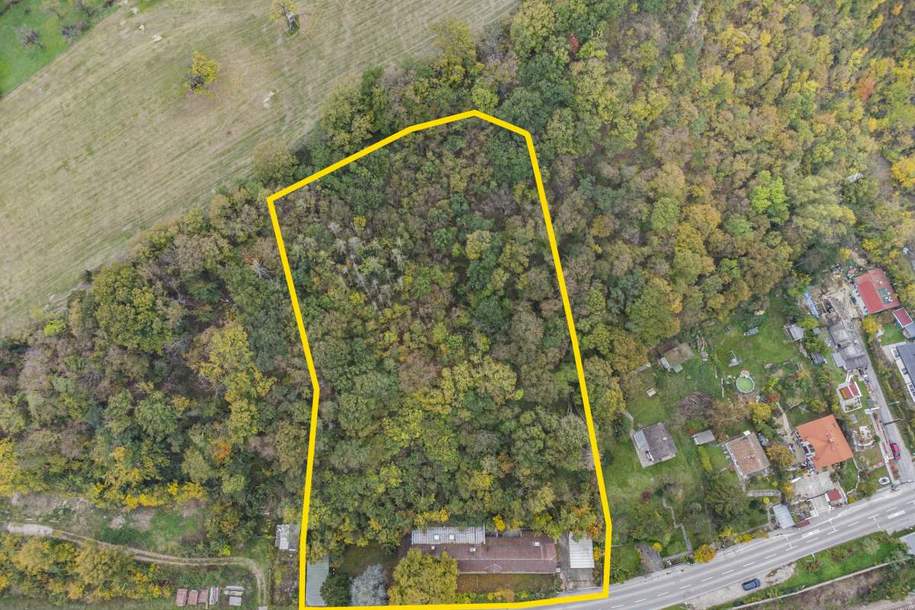 ++ GRANDIOSES IDYLLISCHES ANWESEN an der DONAU ++, Haus-kauf, 1.500.000,€, 3400 Tulln