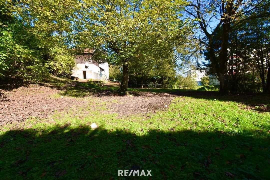 Baugrund ohne Bauzwang am Laichbergweg in Steyr!