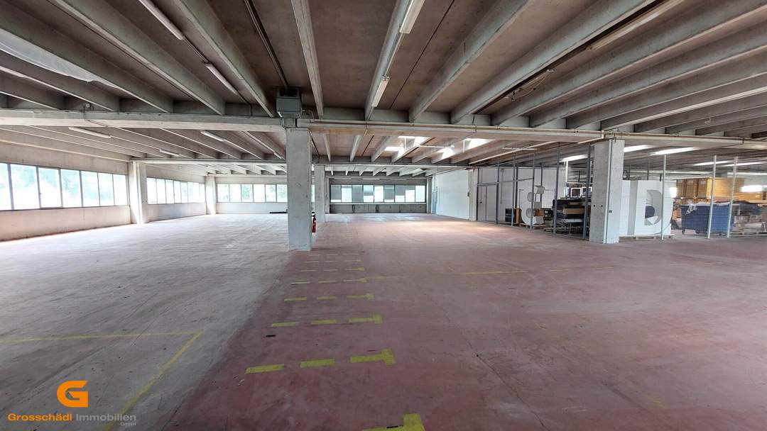 Lagerhalle mit Bürooption in verkehrsgünstiger Lage in Salzburg mieten