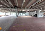 Lagerhalle mit Bürooption in verkehrsgünstiger Lage in Salzburg mieten