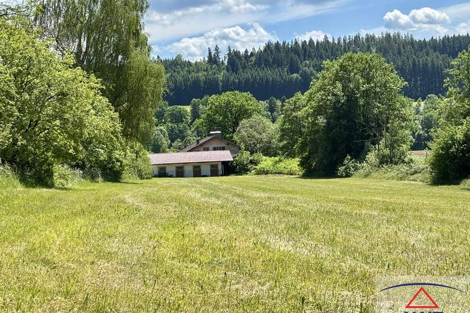 Seltene Gelegenheit: Sanierungsbedürftiges Forsthaus mit Pferdestall und großem Grund in Waldrandlage!, Grund und Boden-kauf, 5211 Braunau am Inn