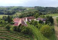 IN SLOWENIEN - Weingut in der berühmten Weinbauregion JERUZALEM