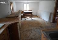 Altes Stein-Holzblockhaus mit großem Garten - perfekt für Naturliebhaber - aktuelle Fotos und Rundgang