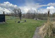 Einfamilienhaus mit sonnigem Grund