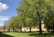 Modernes 4-Zimmer-Familienparadies: einzigartiges Bad mit Dusche & Wanne, flexible Räume und sonnige Küche mit Grünblick – frisch saniert & ab sofort bezugsfrei!