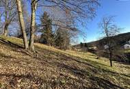 PREISREDUKTION! Attraktiver Baugrund inkl. Bewilligung für Wohnbauprojekt mit 4 Doppelhaushälften