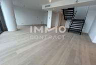 ERSTBEZUG: Attraktive Maisonettewohnung mit viel Platz für Individualität und Ausblick - DANUBEFLATS