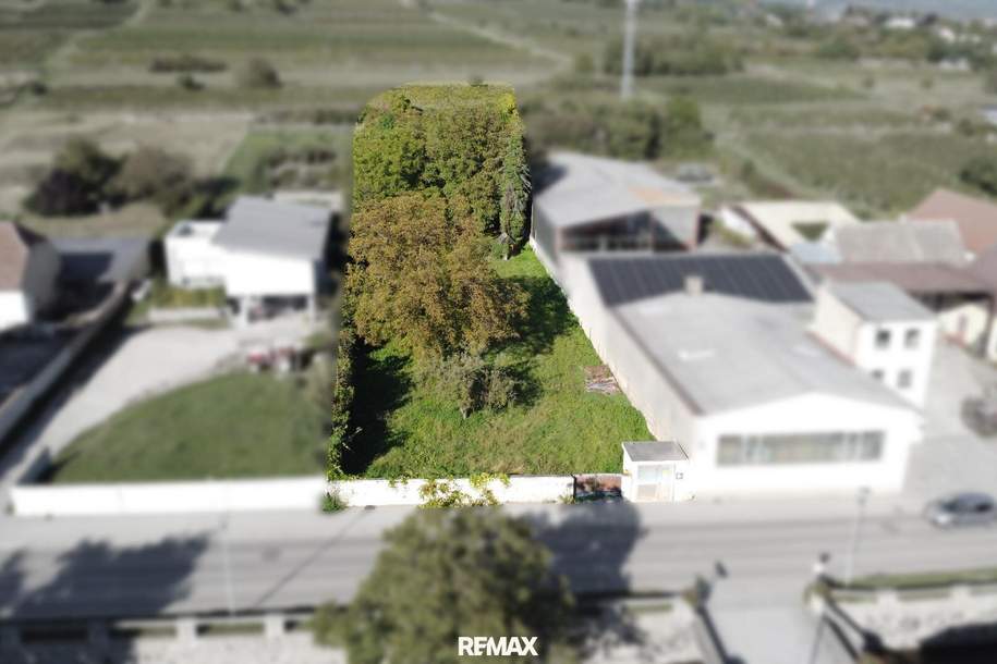 Ihr Baugrundstück in sonniger Lage von Langenlois -– ideale Basis für Ihr Traumhaus oder Bauprojekt, Grund und Boden-kauf, 227.000,€, 3550 Krems(Land)