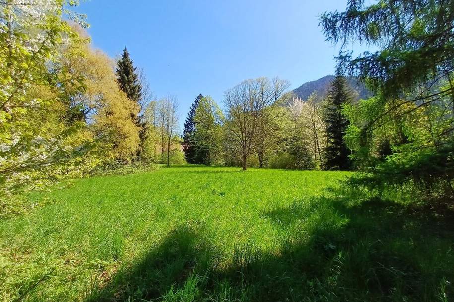 Traumhaftes, sonniges Grundstück mit altem Baumbestand mitten im Almtal, in erhöhter, idyllischer Natur-Ruhelage!, Grund und Boden-kauf, 319.000,€, 4644 Gmunden