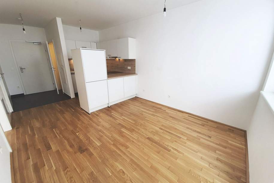 Charmante 2-Zimmer-Loggiawohnung in Ruhelage, Wohnung-miete, 638,15,€, 3100 Sankt Pölten(Stadt)