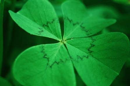 Gelegenheit in Klaffer am Hochficht, Grund und Boden-kauf, 22.810,€, 4163 Rohrbach