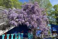 Wohnen über den Dächern von Eisenstadt – Villa mit spektakulärem Fernblick | ZELLMANN IMMOBILIEN