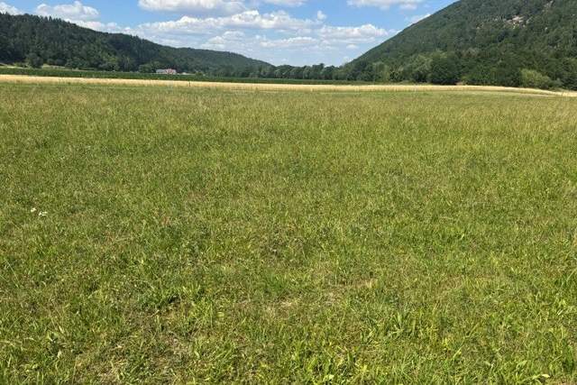 Baugrund gesucht? Ihre Gelegenheit beim Naturpark Sebenstein!, Grund und Boden-kauf, 111.670,€, 2831 Neunkirchen