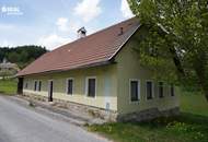 Waldviertler Landhaus mit riesigen, angrenzenden Grundstücken