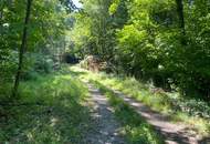 **OPEN HOUSE 5.9.2025** - Einfamilienhaus mit Ausbau-Potenzial, >1.700 m² Grundstück