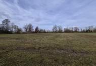 Ebenerdiges Ackerland mit Brache