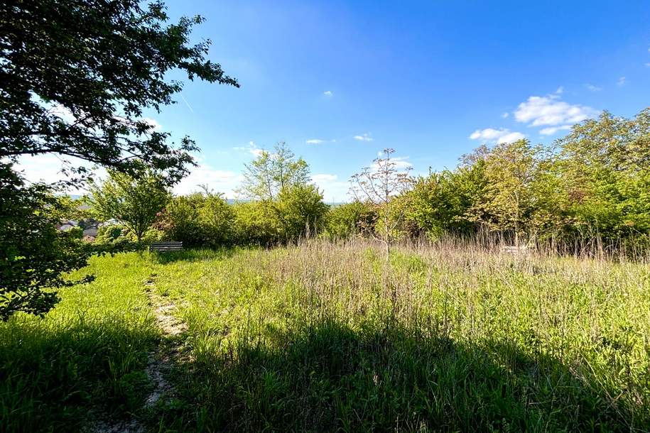 Schnäppchen!! Grundstück in Frauendorf a.d. Schmida, Grund und Boden-kauf, 10.500,€, 3714 Hollabrunn