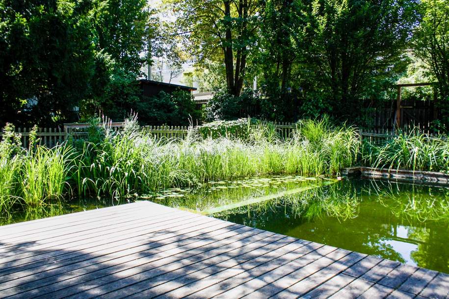 "Familienwohnung mit Schwimmbiotop und Garage!", Wohnung-kauf, 490.000,€, 1230 Wien 23., Liesing