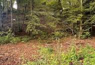 Schnäppchenjäger aufgepasst: Naturhaus zum Tiefstpreis! Nur 25 Minuten nach Linz!