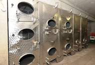 TRADITIONSREICHER WINZERHOF MIT PENSION &amp; HEURIGEN IN BESTER WACHAUER LAGE