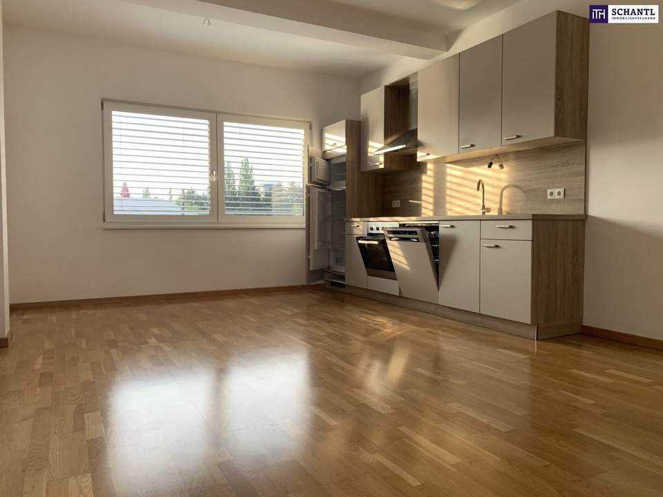 SONNENGLÜCK TRIFFT WOHNGEFÜHL – ein Zuhause, das umarmt! Lassen Sie sich diese wunderschöne Gelegenheit nicht entgehen! Gleich Besichtigungstermin vereinbaren