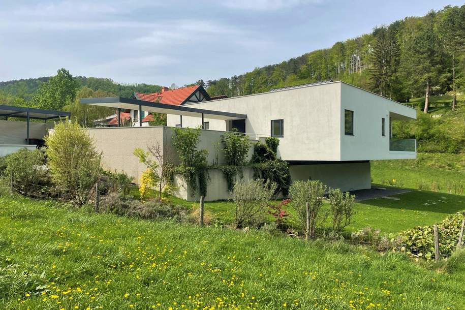 Exklusive Architektenvilla: Wohnen im Einklang mit der Natur, Haus-kauf, 779.000,€, 2564 Baden