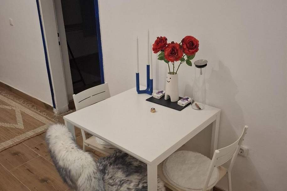 WELS - Zentrum: Vermiete schöne Wohnung. Auch kurzfristige Vermietung möglich!, Wohnung-miete, 10,00,€, 4600 Wels(Stadt)