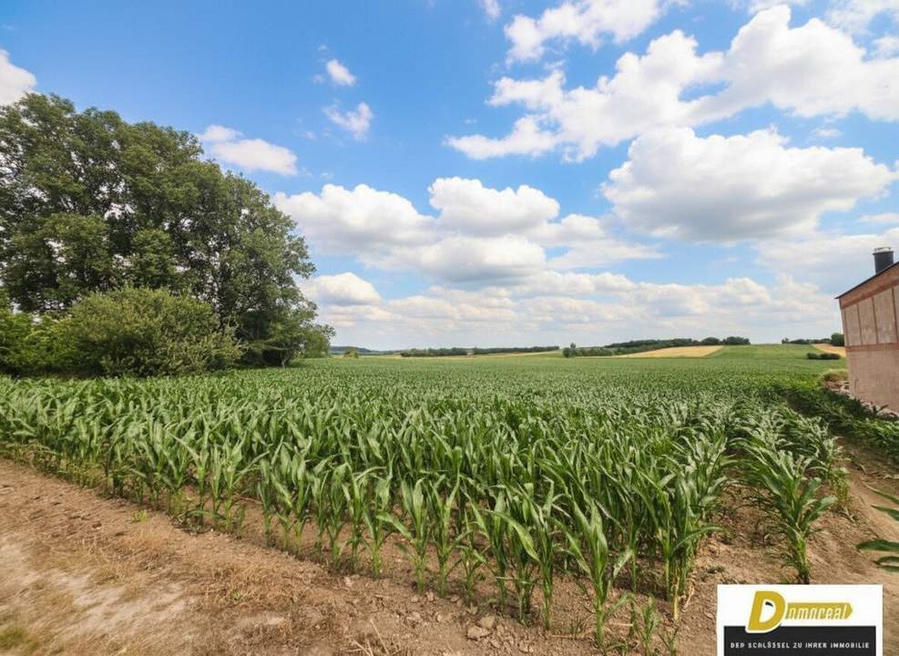 Baugrundstück in 2111 Tresdorf – 1.001 m² in toller Ruhelage