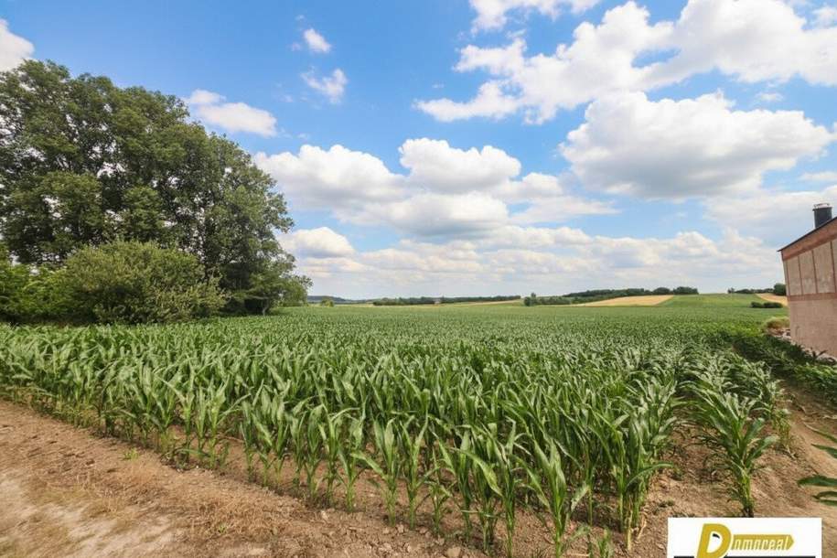 Baugrundstück in 2111 Tresdorf – 1.001 m² in toller Ruhelage, Grund und Boden-kauf, 470.470,€, 2100 Korneuburg