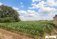 Baugrundstück in 2111 Tresdorf – 1.001 m² in toller Ruhelage