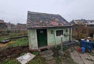 RARITÄT IN HOLLABRUNN: CHARMANTES, SANIERUNGSBEDÜRTIGES LANDHAUS MIT BAULANDRESERVE IN SEHR GUTER WOHNLAGE MIT HERRLICHEM GARTEN SAMT ALTBAUMBESTAND