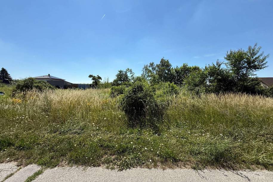 Grundstücke in Gänserndorf Stadt – 700 m², kein Bauzwang, mehrere Einheiten möglich!, Grund und Boden-kauf, 266.000,€, 2230 Gänserndorf