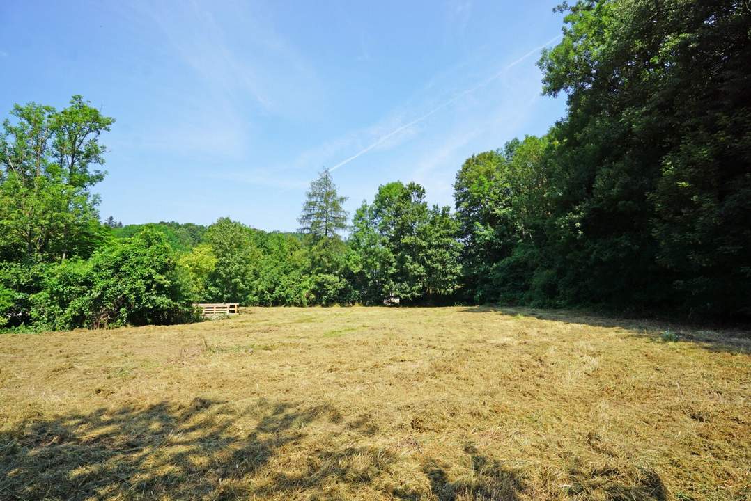 Ebenes Baugrundstück in sonniger Ruhelage - nur 2 km vom Pressbaumer Zentrum