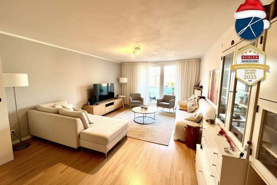 Nahe Casino Baden! vermietete (bis 31.10.26) Dachgeschoßwohnung in Top-Lage: 1 Zimmer, Loggia &amp; Grünblick zum Kurpark Baden, Niederösterreich für nur 149.999,00 €!, Wohnung-legalform.mietkauf, 149.999,€, 2500 Baden