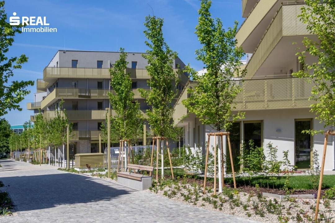 Hirschfeld - Ihr neues Zuhause im Grünen - anfragen, besichtigen, einziehen - 41 bis 96 m²