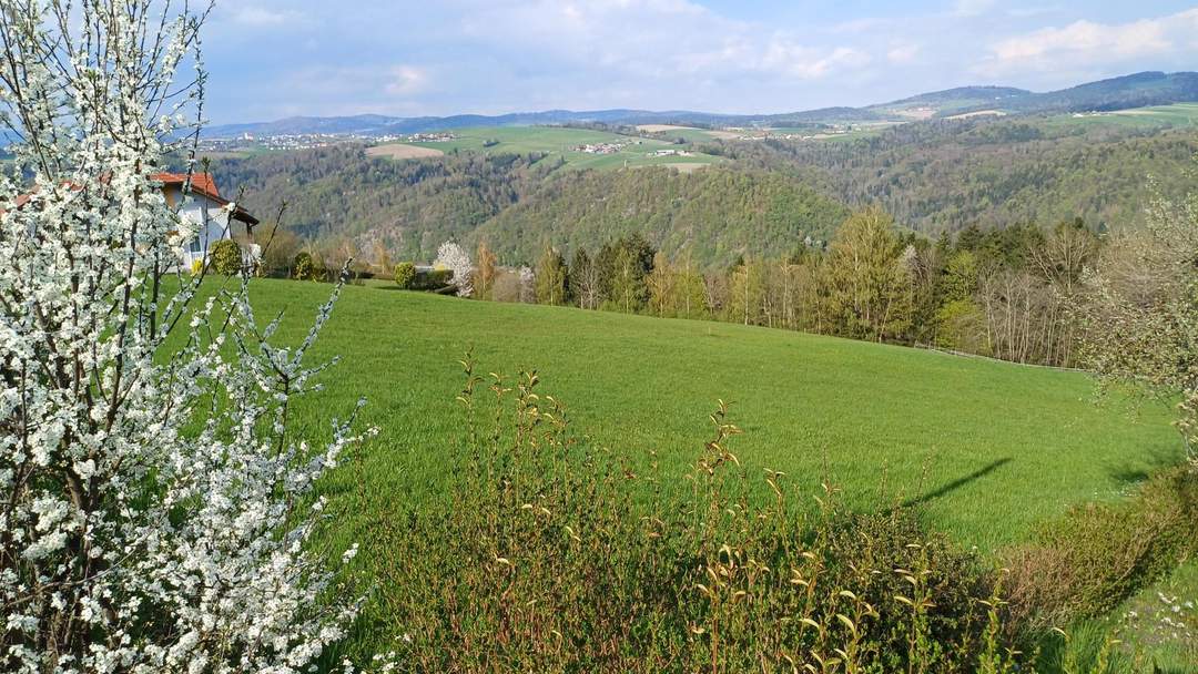 2 Baugrundstücke in traumhafter Aussichtslage