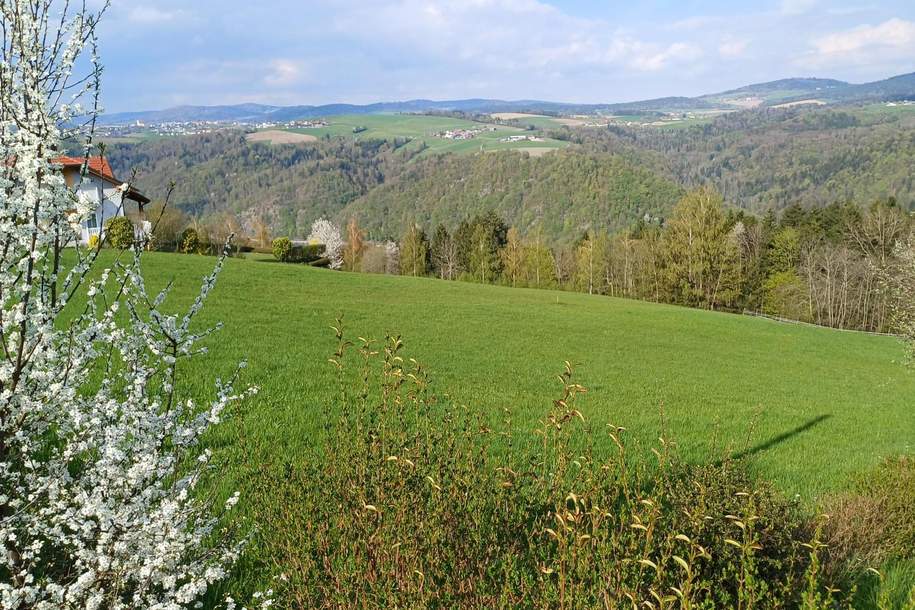 2 Baugrundstücke in traumhafter Aussichtslage, Grund und Boden-kauf, 130.000,€, 4091 Schärding