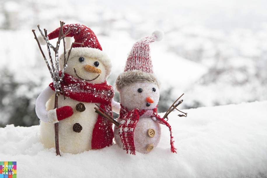 SO GÜNSTIG, DA TAUT SOGAR DER SCHNEEMANN! 6,5% WINTERRABATT!, Wohnung-kauf, 285.358,€, 1220 Wien 22., Donaustadt