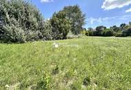 Traumhaftes Grünland Grundstück mit Fischteich in Prellenkirchen 18064m2 – Ihr Platz für Visionen!
