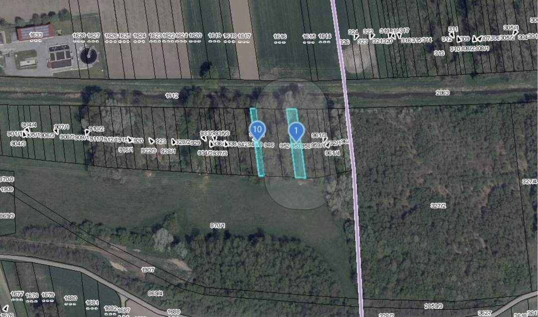 2 Waldgrundstücke in Ebersdorf an der Zaya!