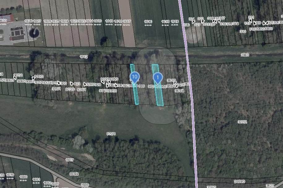 2 Waldgrundstücke in Ebersdorf an der Zaya!, Grund und Boden-kauf, 9.900,€, 2193 Mistelbach