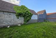 Einzigartiger, von Grund auf sanierter Streckhof in Purbach am Neusiedler See