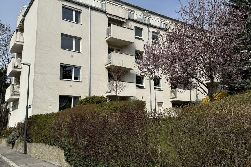 3 Zimmer Wohnung mit Balkon in bester Wiener Lage, Wohnung-kauf, 350.000,€, 1190 Wien 19., Döbling