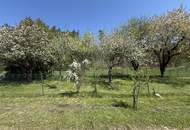 Provisionsfrei - Schönes Freizeitgrundstück mit Obstgarten