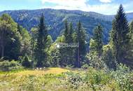 Wohnen direkt am Waldrand mit Panoramablick