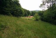 Traumanwesen in Alleinlage – 12.000 m² für Naturliebhaber und Pferdehalter