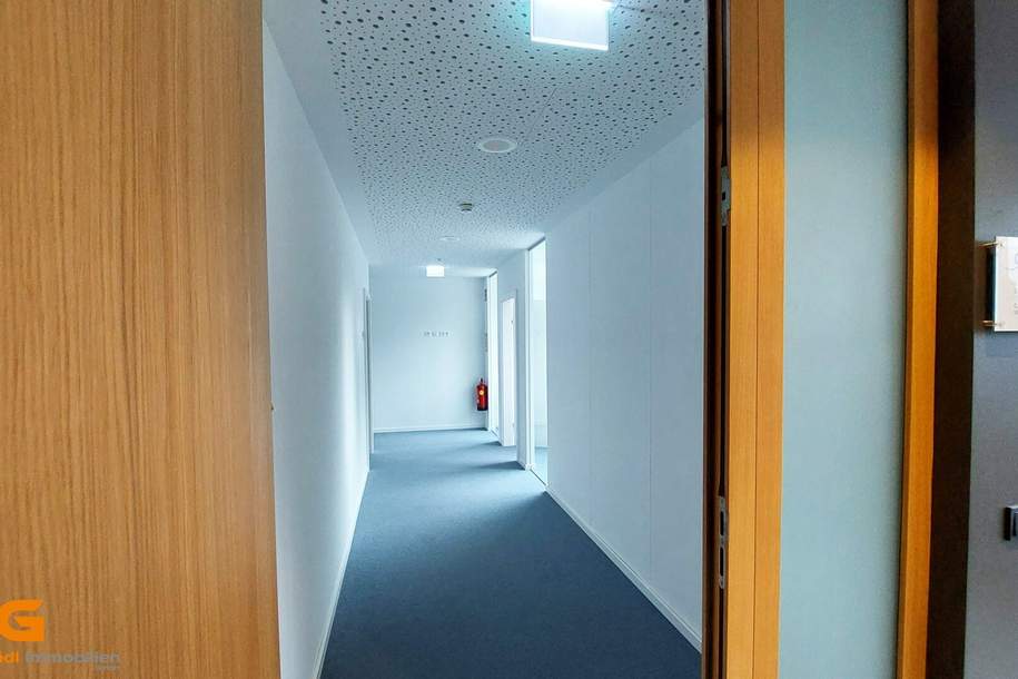 Hochwertige, energieeffiziente Büroeinheit mit Ambiente Salzburg Süd mieten, Gewerbeobjekt-miete, 3.183,47,€, 5020 Salzburg(Stadt)