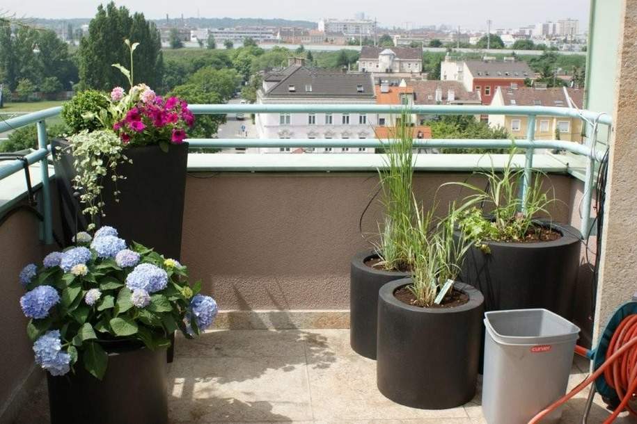 "AUSSERgeWOHNlichALLES!", Wohnung-kauf, 449.000,€, 1110 Wien 11., Simmering